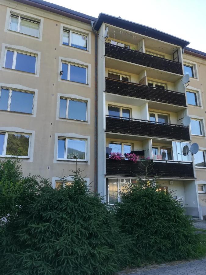 Apartman 21 Appartement Loučná nad Desnou Buitenkant foto